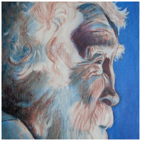 David Bellamy (celebrity botanist) - acrylic