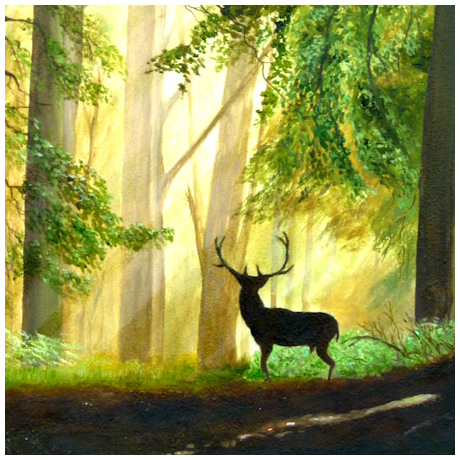 Lord of the Forest