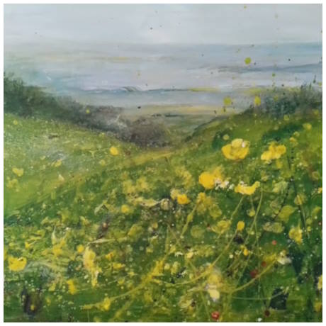 Buttercup Field Day