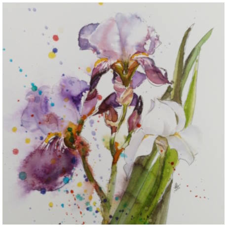 Elegant Iris
