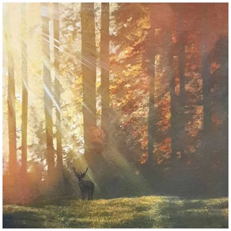 Greet the Dawn