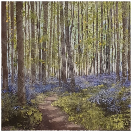 Badbury Bluebells